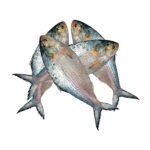 ইলিশ-মাছ-200-gm-Chandpur-Fish