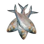 ইলিশ-মাছ-400-gm-Chandpur-Fish
