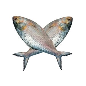 ইলিশ-মাছ-500-gm-Chandpur-Fish