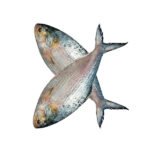 ইলিশ-মাছ-700-gm-Chandpur-Fish
