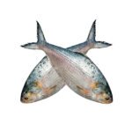 ইলিশ-মাছ-900-gm-Chandpur-Fish