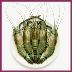 নদীর-চিংড়ী-মাছ-০৫-০৭-পিস-কেজি-Chandpur-Fish