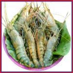 নদীর-চিংড়ী-মাছ-১২-১৫-পিস-কেজি-Chandpur-Fis