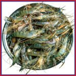 নদীর-চিংড়ী-মাছ-২০-৩০-পিস-কেজি-Chandpur-Fish
