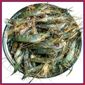 নদীর-চিংড়ী-মাছ-২০-৩০-পিস-কেজি-Chandpur-Fish