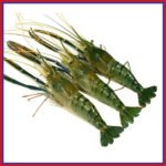 নদীর-চিংড়ী-মাছ-৩-৫-পিস-কেজি-Chandpur-Fish