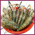 নদীর-চিংড়ী-মাছ-৭-১০-পিস-কেজি-Chandpur-Fish
