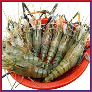 নদীর-চিংড়ী-মাছ-৭-১০-পিস-কেজি-Chandpur-Fish