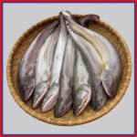নদীর-বোয়াল-মাছ-১-৩কেজি-Chandpur-Fish