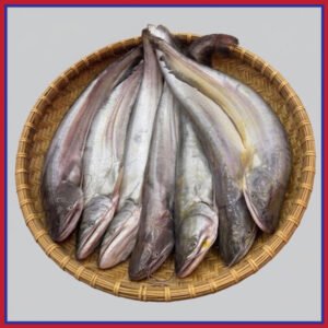 নদীর-বোয়াল-মাছ-১-৩কেজি-Chandpur-Fish