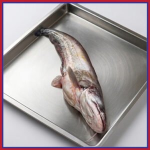 নদীর-বোয়াল-মাছ-১২-১৫-কেজি-Chandpur-Fish