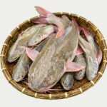 নদীর-রিটা-মাছ-১৫০০-২০০০-গ্রাম-Chandpur-Fish