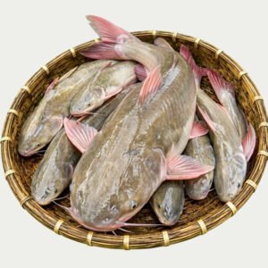 নদীর-রিটা-মাছ-১৫০০-২০০০-গ্রাম-Chandpur-Fish