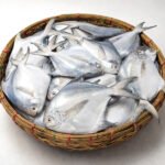 রুপচাঁদা ১০-১৩ টায় কেজি