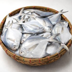 রুপচাঁদা ১০-১৩ টায় কেজি
