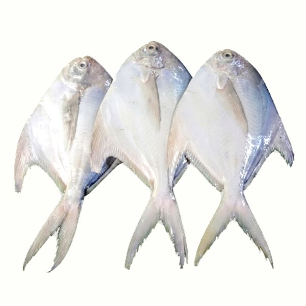 রুপচাঁদা-3-5-টায়-কেজি-Chandpur-Fish