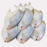 রুপচাঁদা-5-7-টায়-কেজি-Chandpur-Fish-1