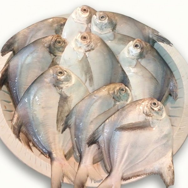 রুপচাঁদা-7-10-টায়-কেজি-Chandpur-Fish