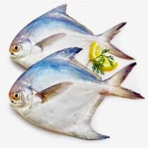 রুপচাঁদা-২-টায়-কেজি-Chandpur-Fish