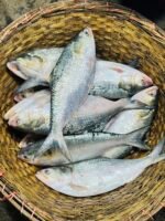 ইলিশ  ১০০০-১২০০ গ্রাম - Image 3