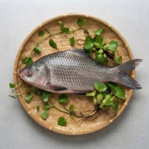 নদীর কাতল 5-10 Chandpur Fish