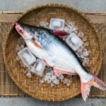 নদীর-পাঙ্গাস-১৫-২৫-Chandpur-Fish