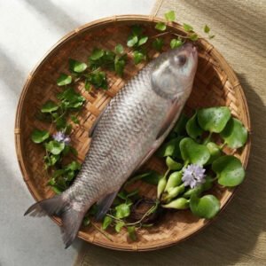 নদীর-রুই-3-5-Chandpur-Fish